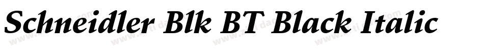 Schneidler Blk BT Black Italic字体转换